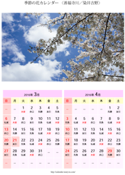 花カレンダー 桜